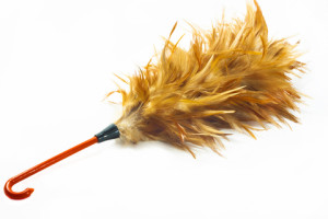 PPC campaign feather duster