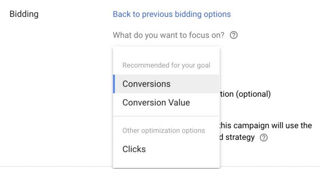 Google Ads bid strategy - get guidance